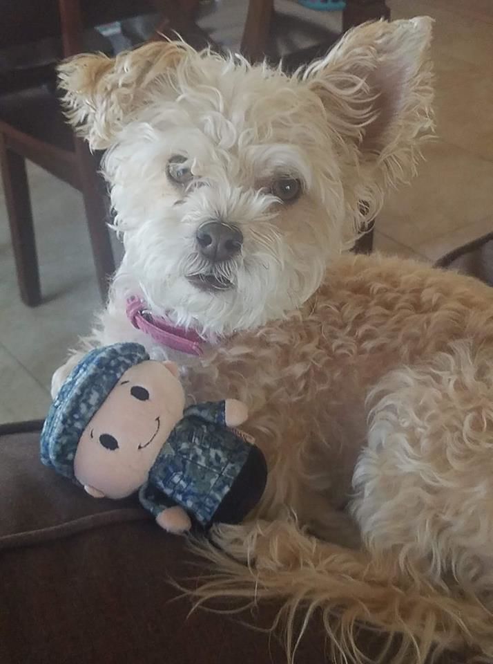 Readers pet photos